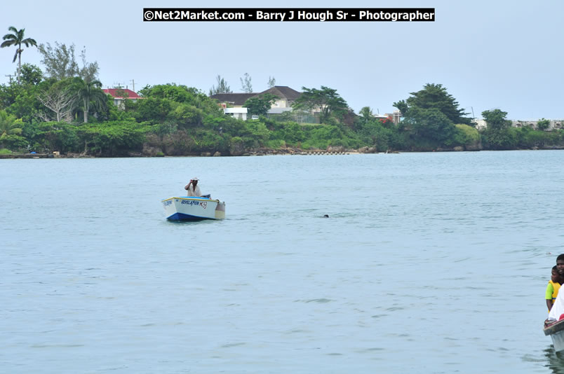 Lucea Cross the Harbour @ Lucea Car Park...! All Day Event - Cross the Harbour Swim, Boat Rides, and Entertainment for the Family, Concert Featuring: Bushman, George Nooks. Little Hero, Bushi One String, Dog Rice and many Local Artists - Friday, August 1, 2008 - Lucea, Hanover, Jamaica W.I. - Hanover Jamaica Travel Guide - Lucea Jamaica Travel Guide is an Internet Travel - Tourism Resource Guide to the Parish of Hanover and Lucea area of Jamaica